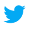 icons8-twitter-50